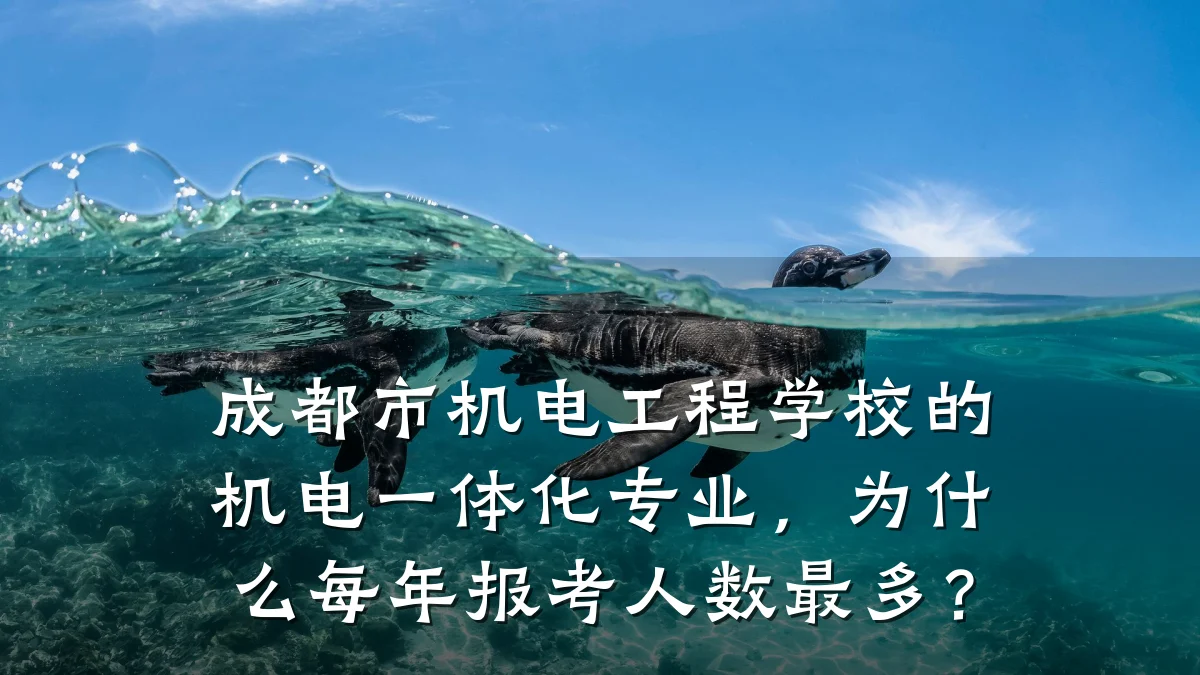 成都市机电工程学校的机电一体化专业，为什么每年报考人数最多？