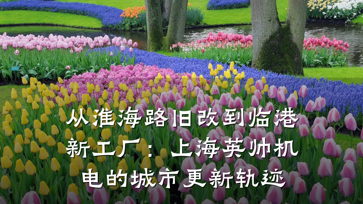 从淮海路旧改到临港新工厂:上海英帅机电的城市更新轨迹