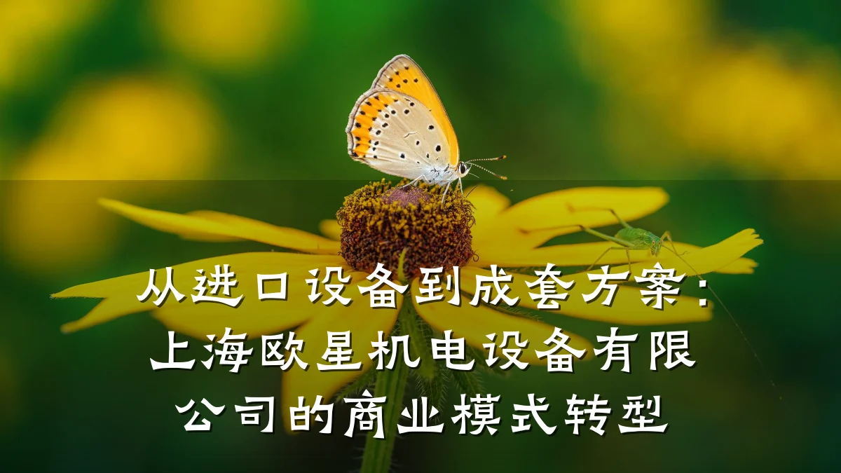 从进口设备到成套方案：上海欧星机电设备有限公司的商业模式转型