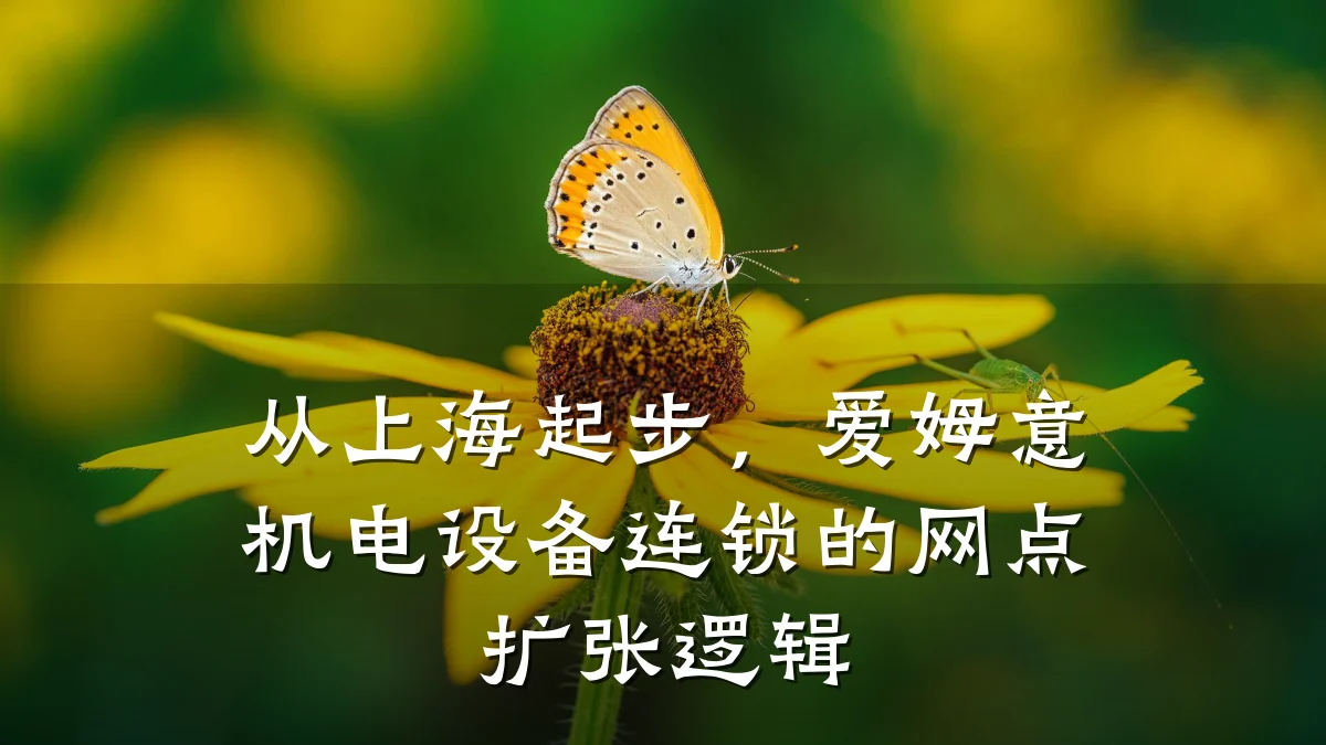 从上海起步，爱姆意机电设备连锁的网点扩张逻辑