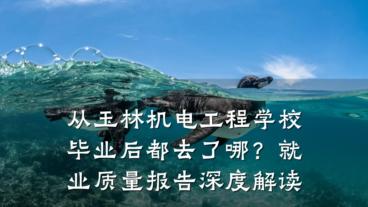 从玉林机电工程学校毕业后都去了哪？就业质量报告深度解读