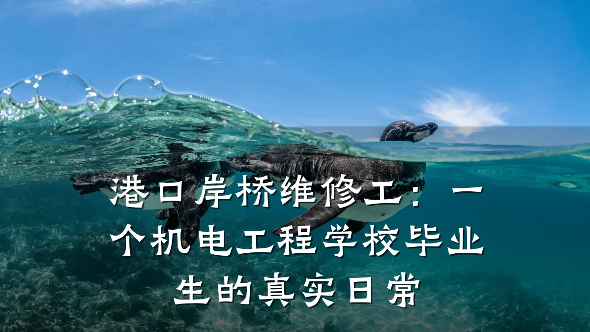港口岸桥维修工：一个机电工程学校毕业生的真实日常