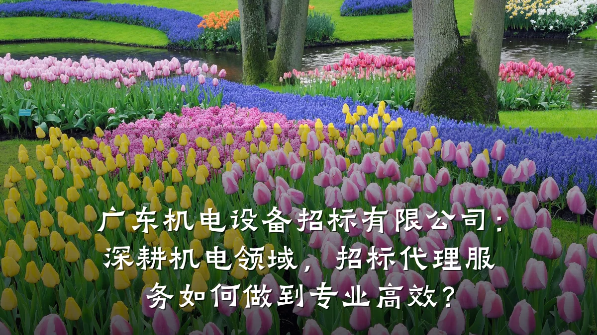 广东机电设备招标有限公司:深耕机电领域,招标代理服务如何做到专业高效?
