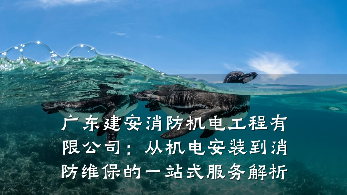 广东建安消防机电工程有限公司:从机电安装到消防维保的一站式服务解析
