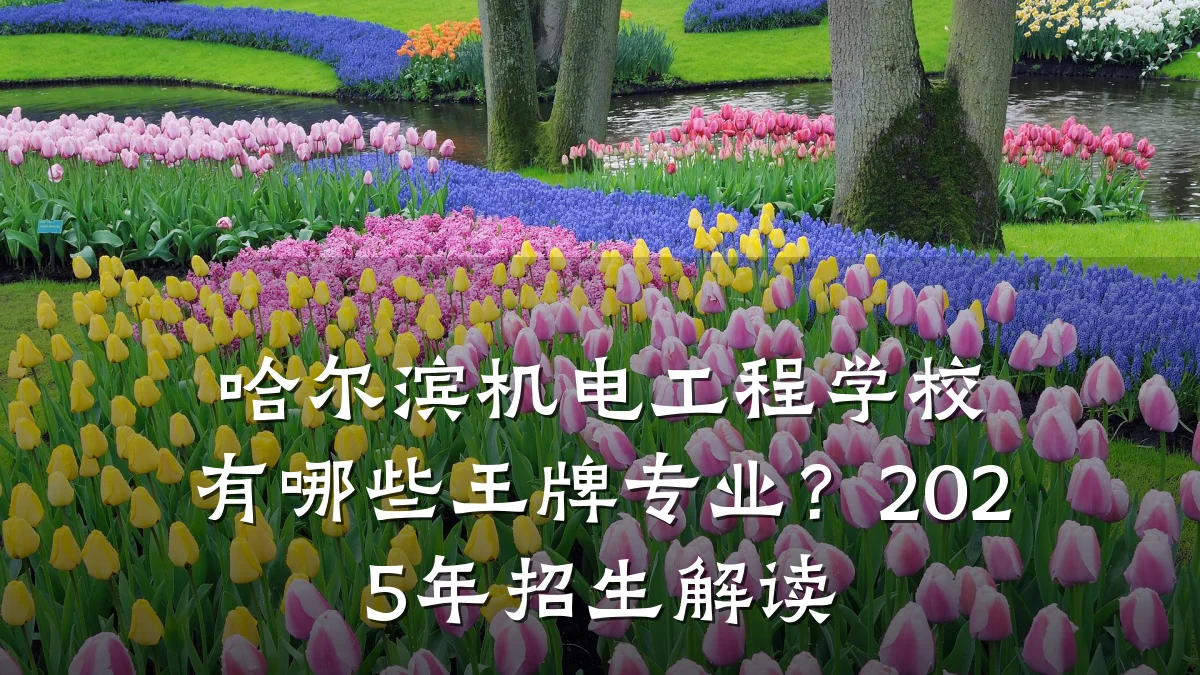 哈尔滨机电工程学校有哪些王牌专业？2025年招生解读