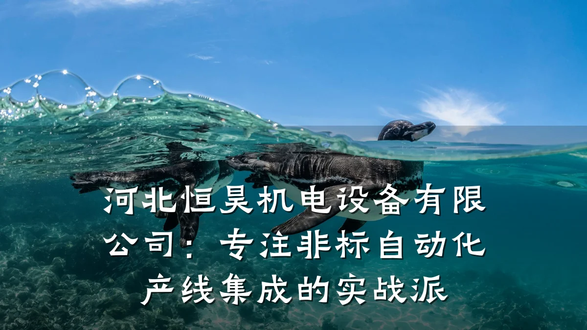 河北恒昊机电设备有限公司：专注非标自动化产线集成的实战派