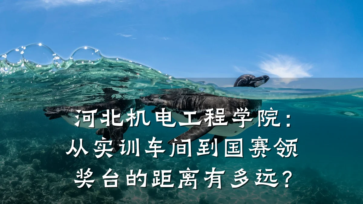 河北机电工程学院：从实训车间到国赛领奖台的距离有多远？