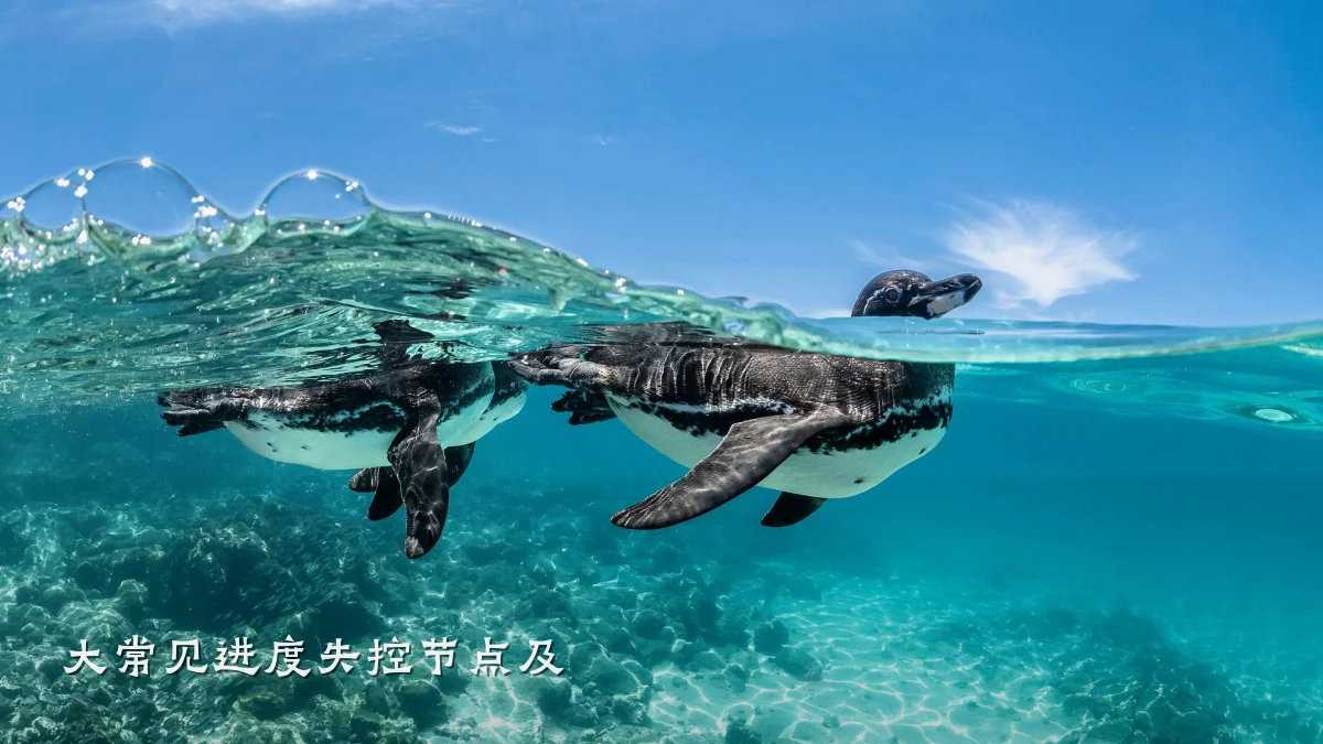 大常见进度失控节点及