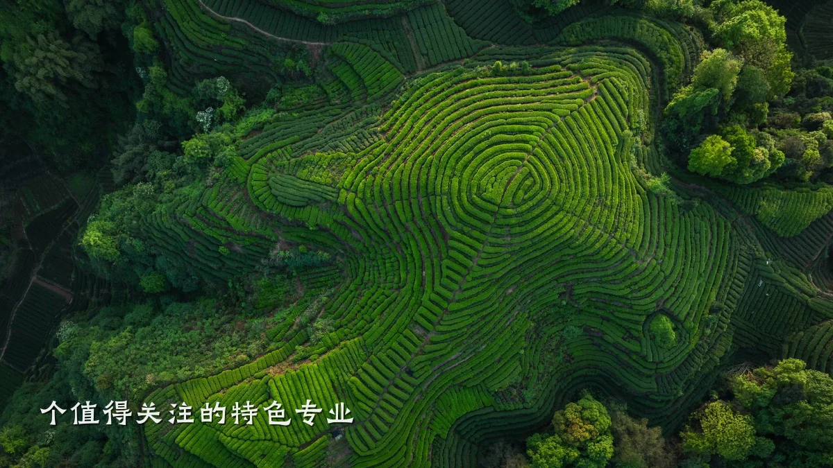 个值得关注的特色专业
