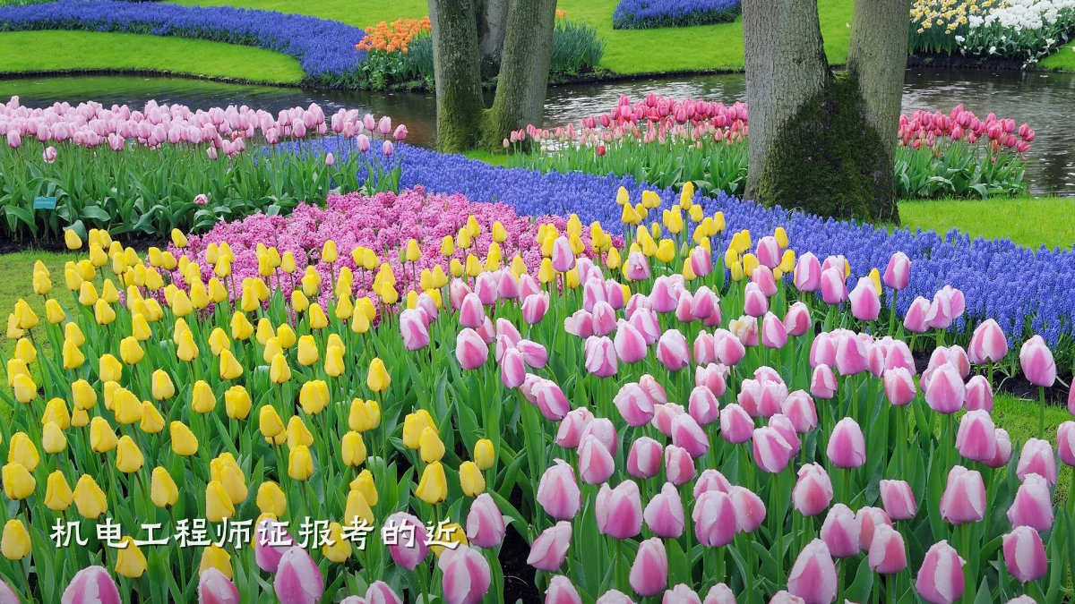 机电工程师证报考的近