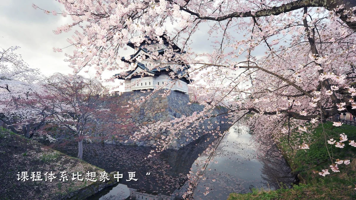 课程体系比想象中更“