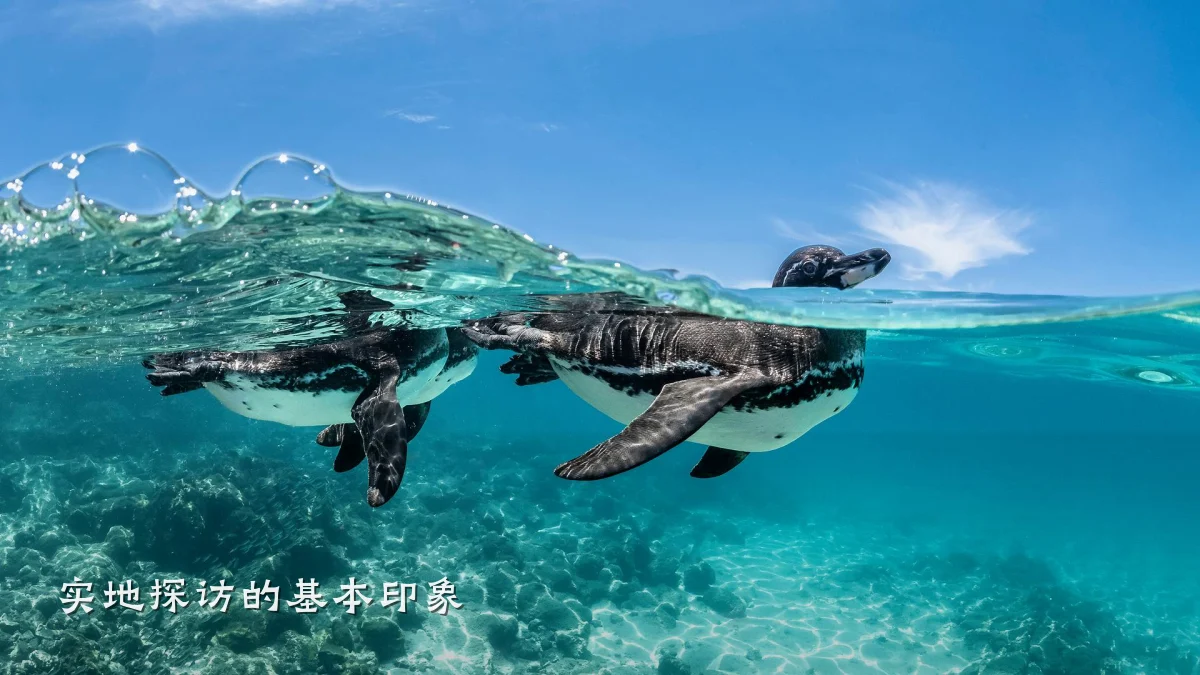 实地探访的基本印象