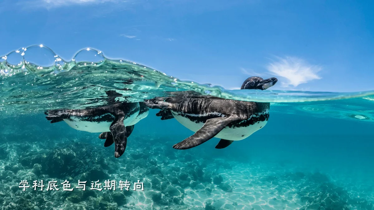 学科底色与近期转向