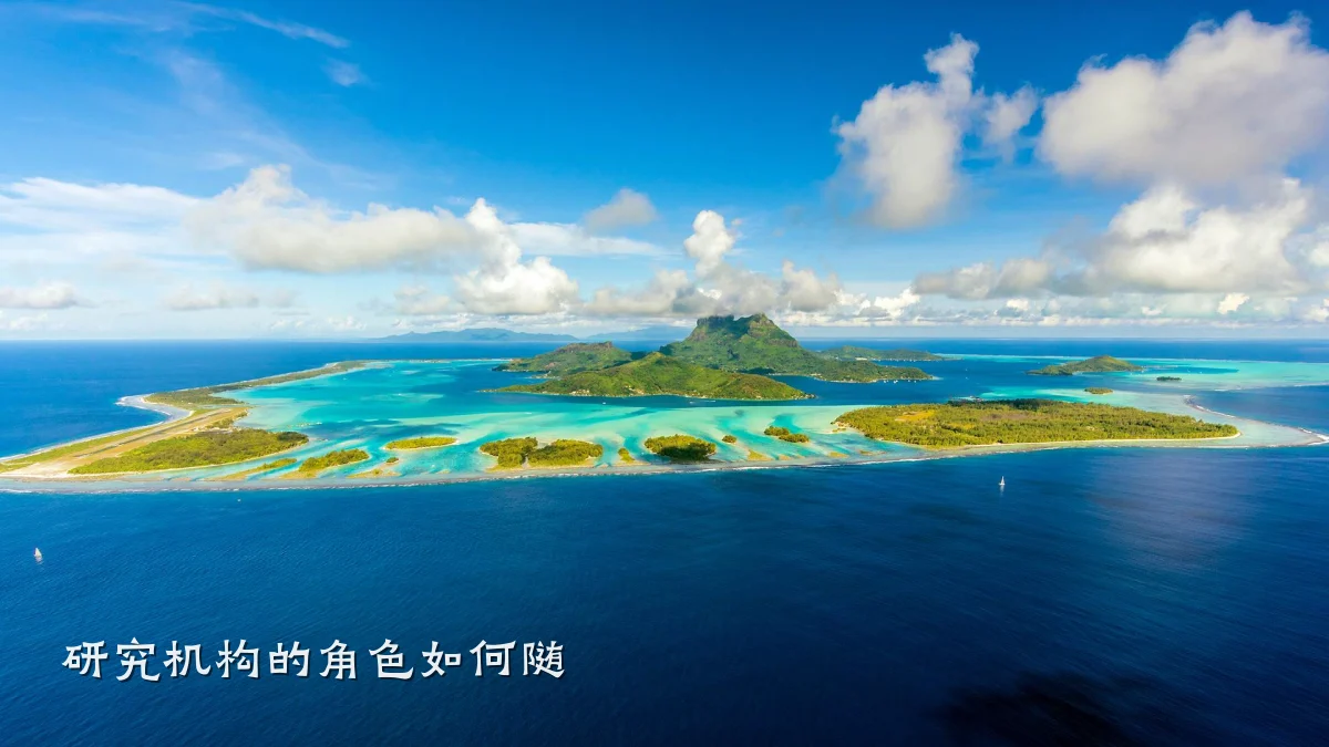 研究机构的角色如何随