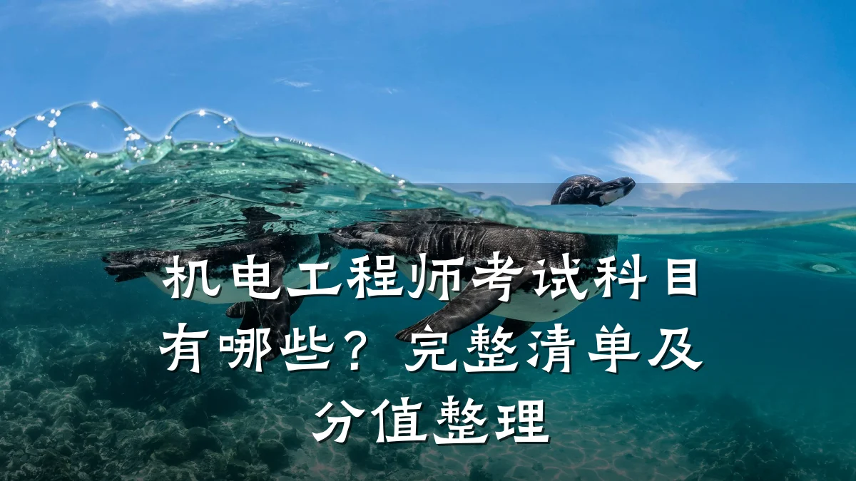 机电工程师考试科目有哪些？完整清单及分值整理