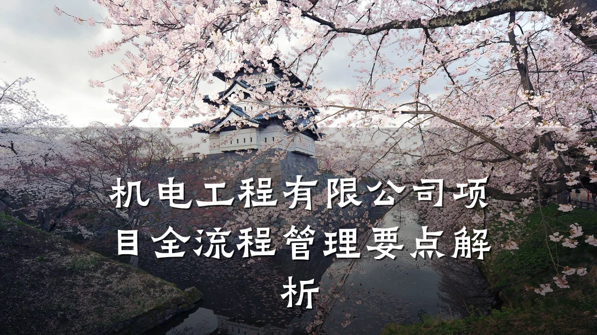 机电工程有限公司项目全流程管理要点解析