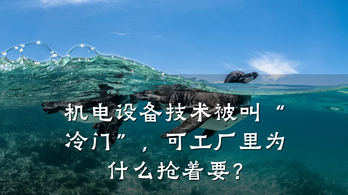 机电设备技术被叫“冷门”，可工厂里为什么抢着要？