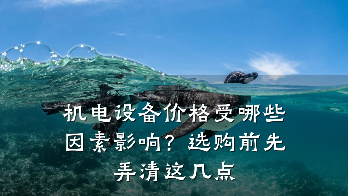 机电设备价格受哪些因素影响？选购前先弄清这几点
