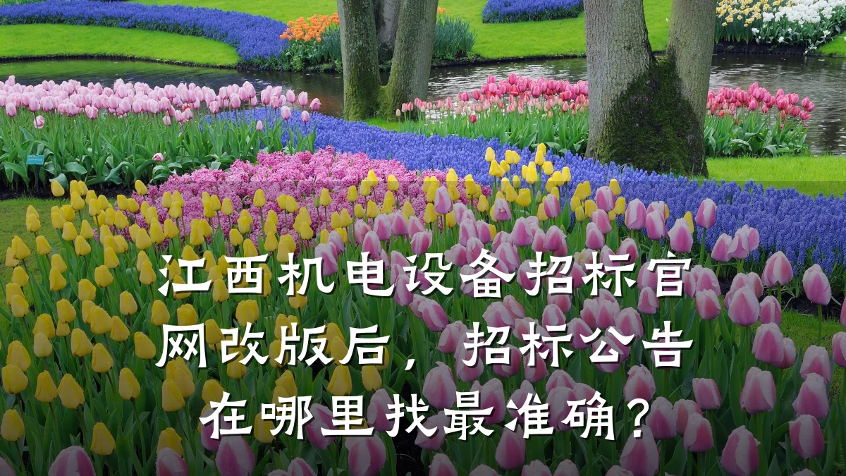 江西机电设备招标官网改版后，招标公告在哪里找最准确？
