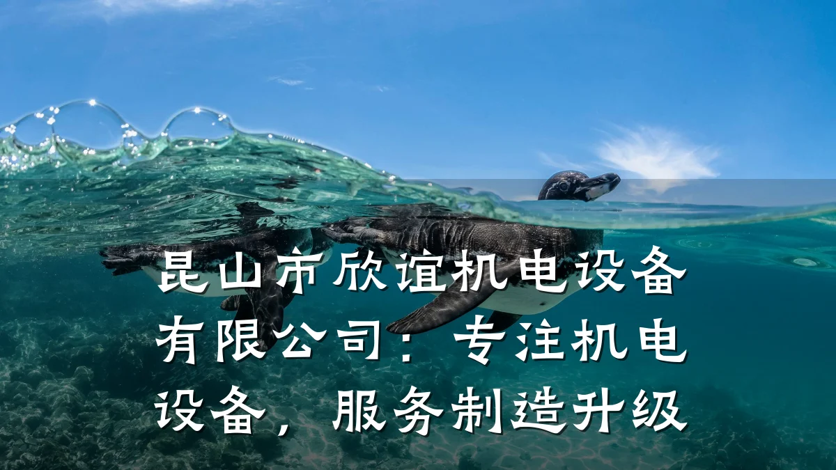 昆山市欣谊机电设备有限公司：专注机电设备，服务制造升级