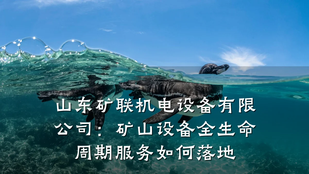 山东矿联机电设备有限公司：矿山设备全生命周期服务如何落地