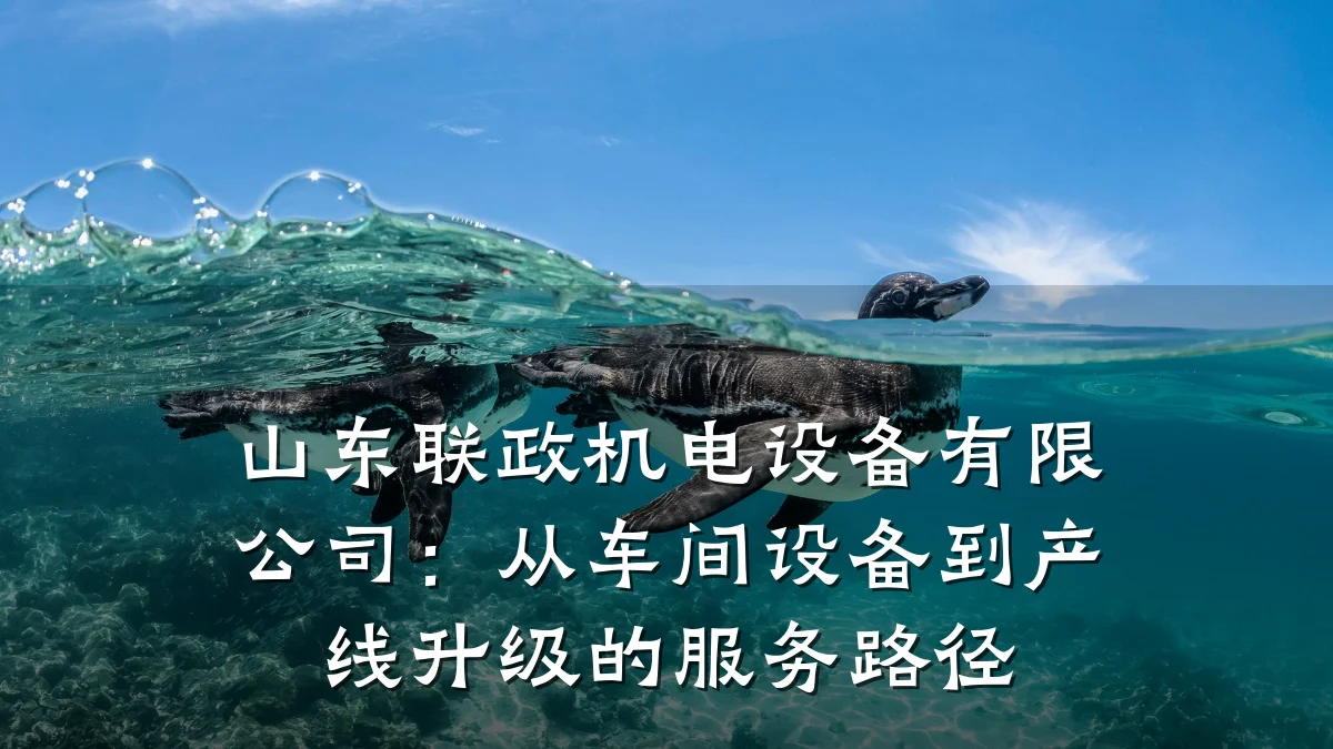 山东联政机电设备有限公司：从车间设备到产线升级的服务路径