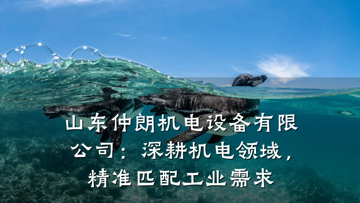 山东仲朗机电设备有限公司:深耕机电领域,精准匹配工业需求