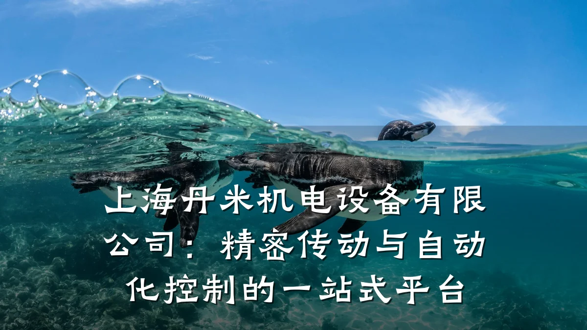 上海丹米机电设备有限公司：精密传动与自动化控制的一站式平台