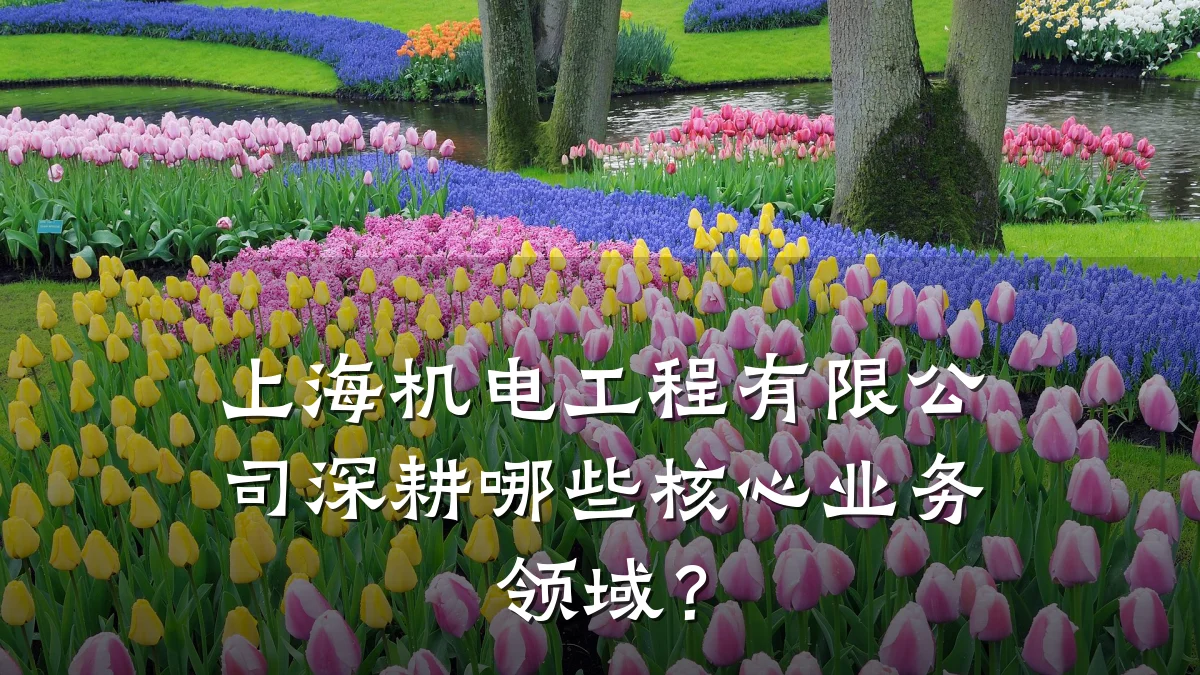 上海机电工程有限公司深耕哪些核心业务领域？