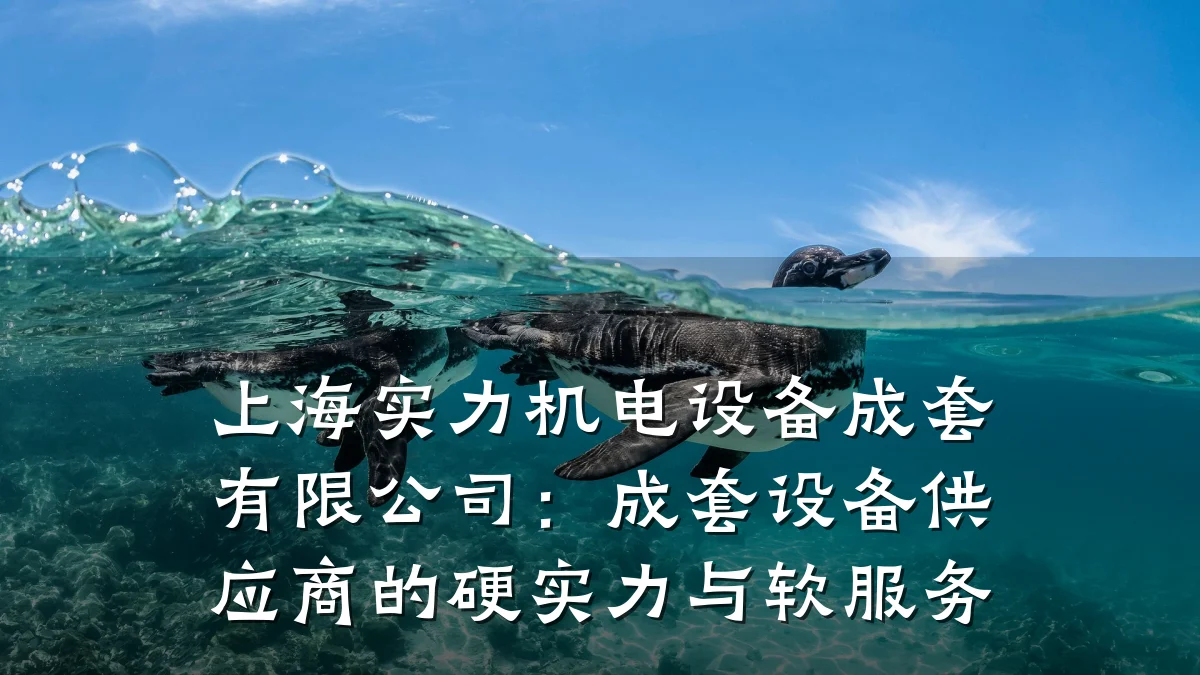 上海实力机电设备成套有限公司：成套设备供应商的硬实力与软服务