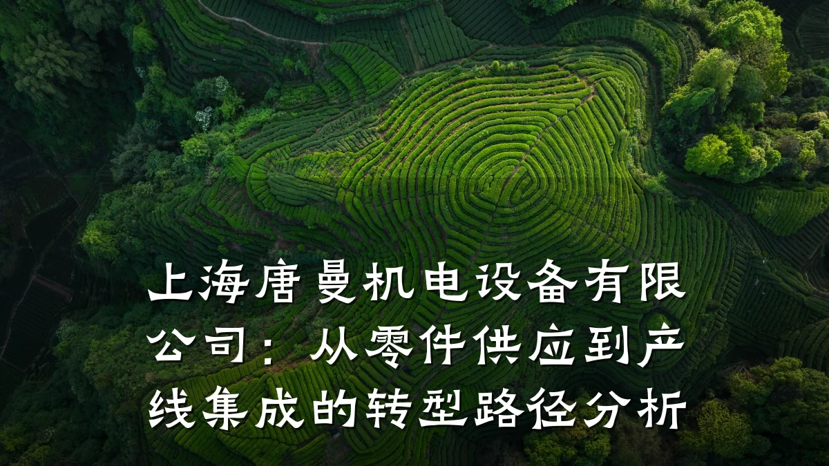 上海唐曼机电设备有限公司：从零件供应到产线集成的转型路径分析