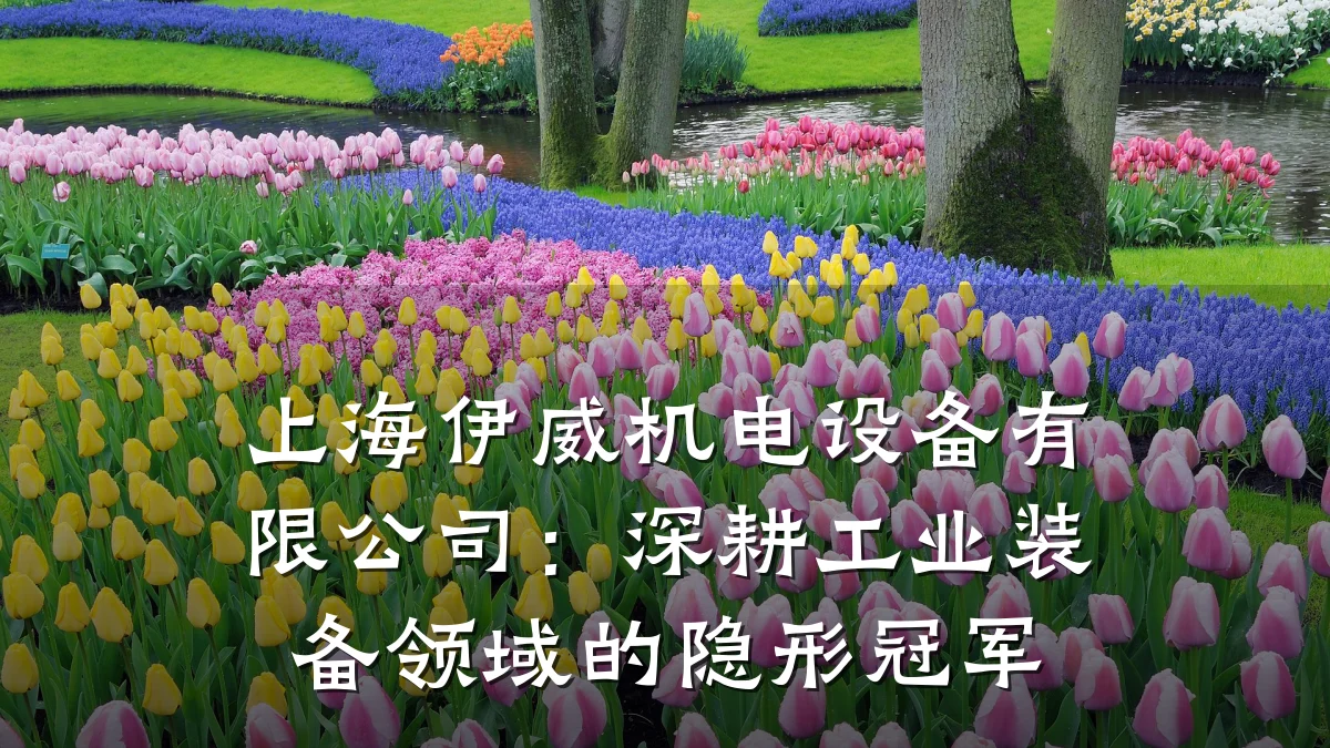 上海伊威机电设备有限公司:深耕工业装备领域的隐形冠军