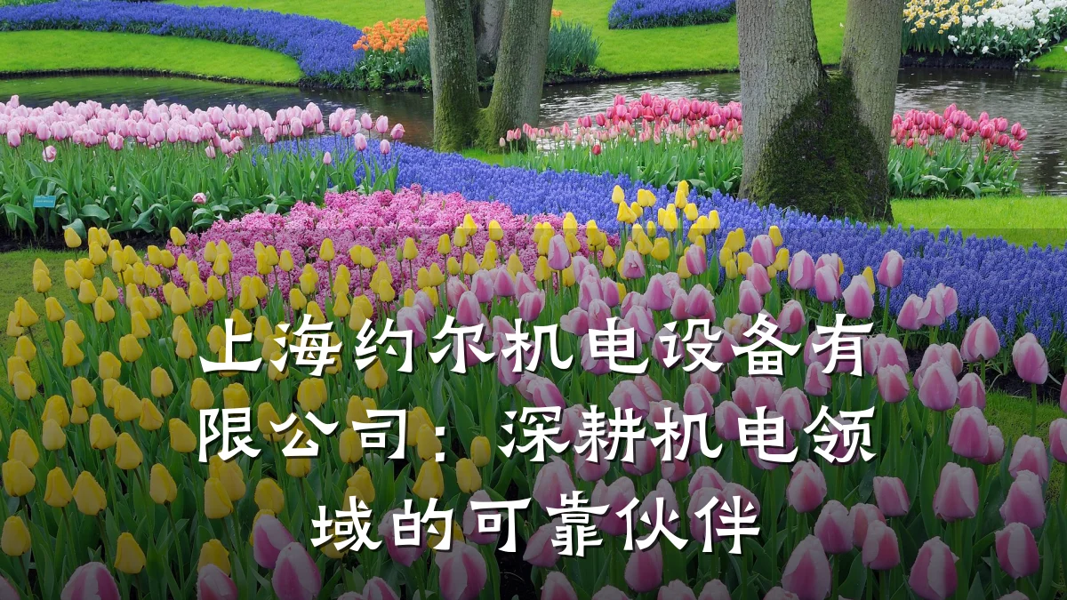 上海约尔机电设备有限公司:深耕机电领域的可靠伙伴