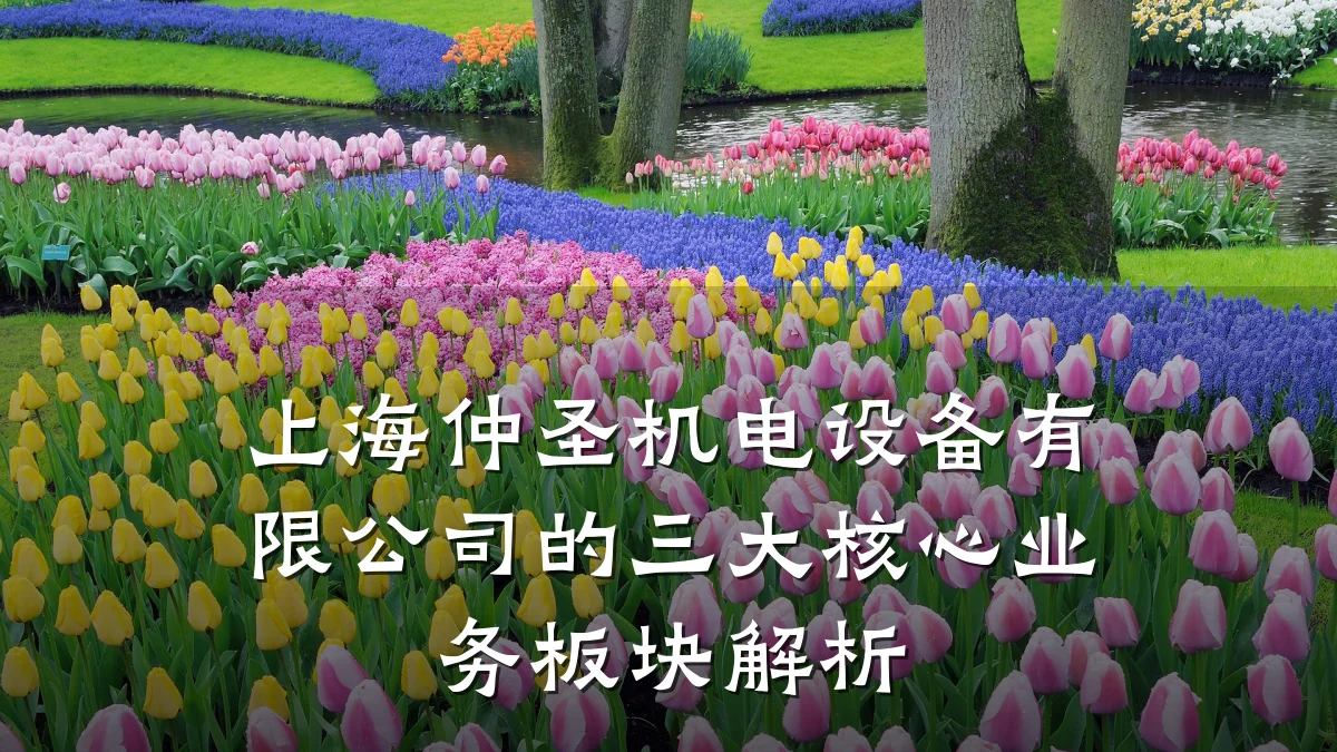 上海仲圣机电设备有限公司的三大核心业务板块解析