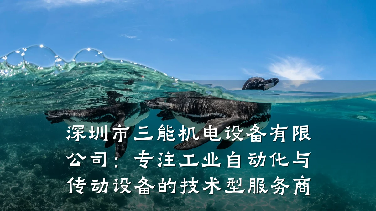 深圳市三能机电设备有限公司：专注工业自动化与传动设备的技术型服务商