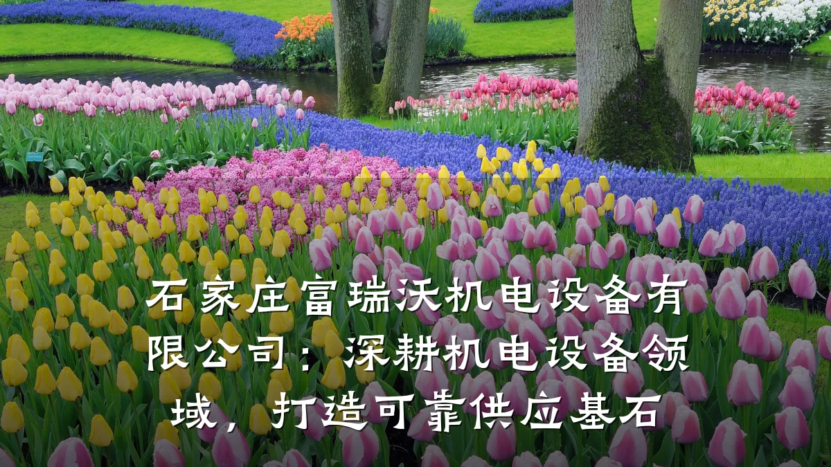 石家庄富瑞沃机电设备有限公司：深耕机电设备领域，打造可靠供应基石