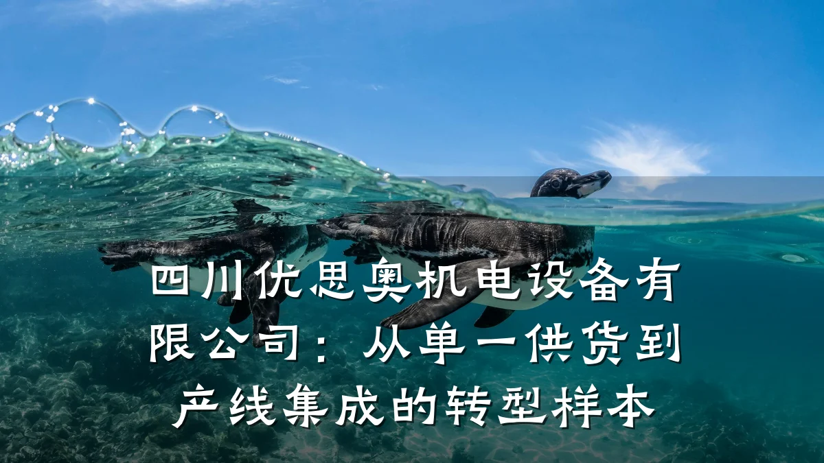 四川优思奥机电设备有限公司：从单一供货到产线集成的转型样本