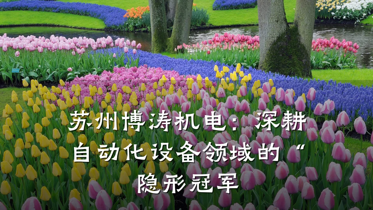 苏州博涛机电：深耕自动化设备领域的“隐形冠军