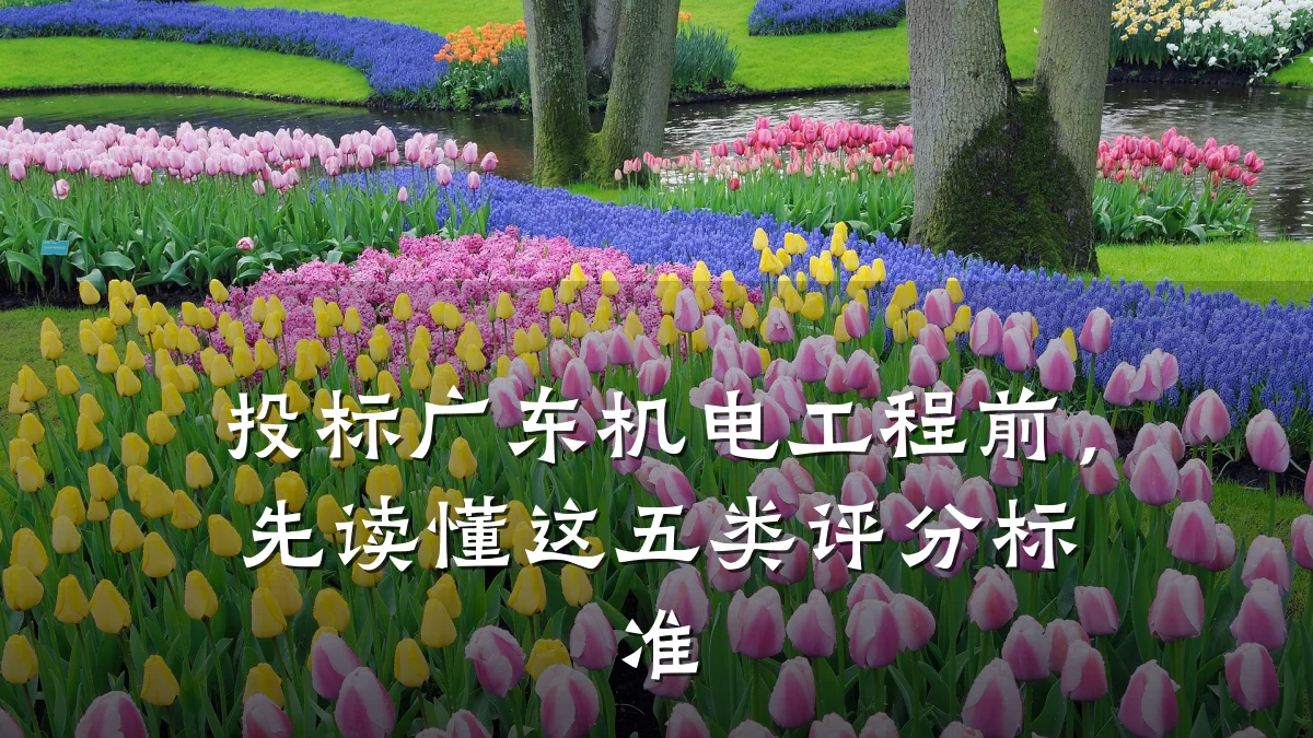投标广东机电工程前，先读懂这五类评分标准