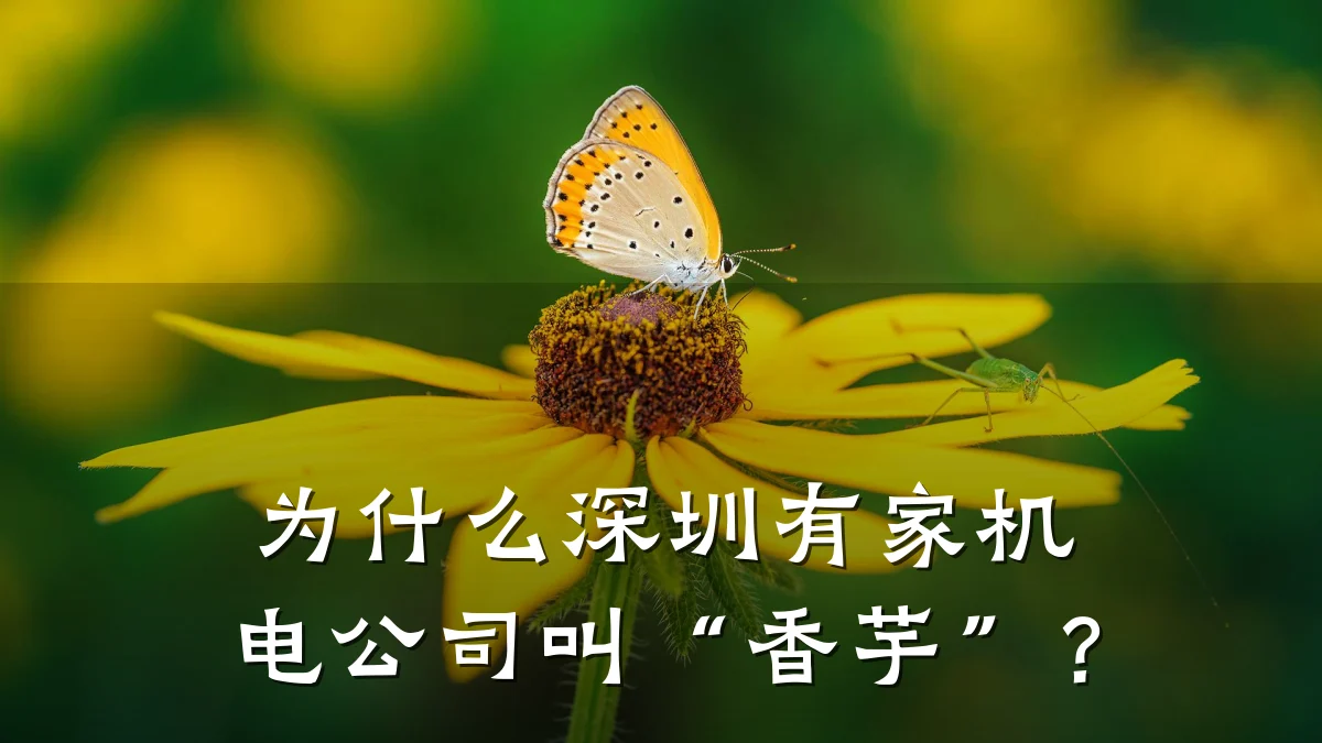 为什么深圳有家机电公司叫“香芋”？