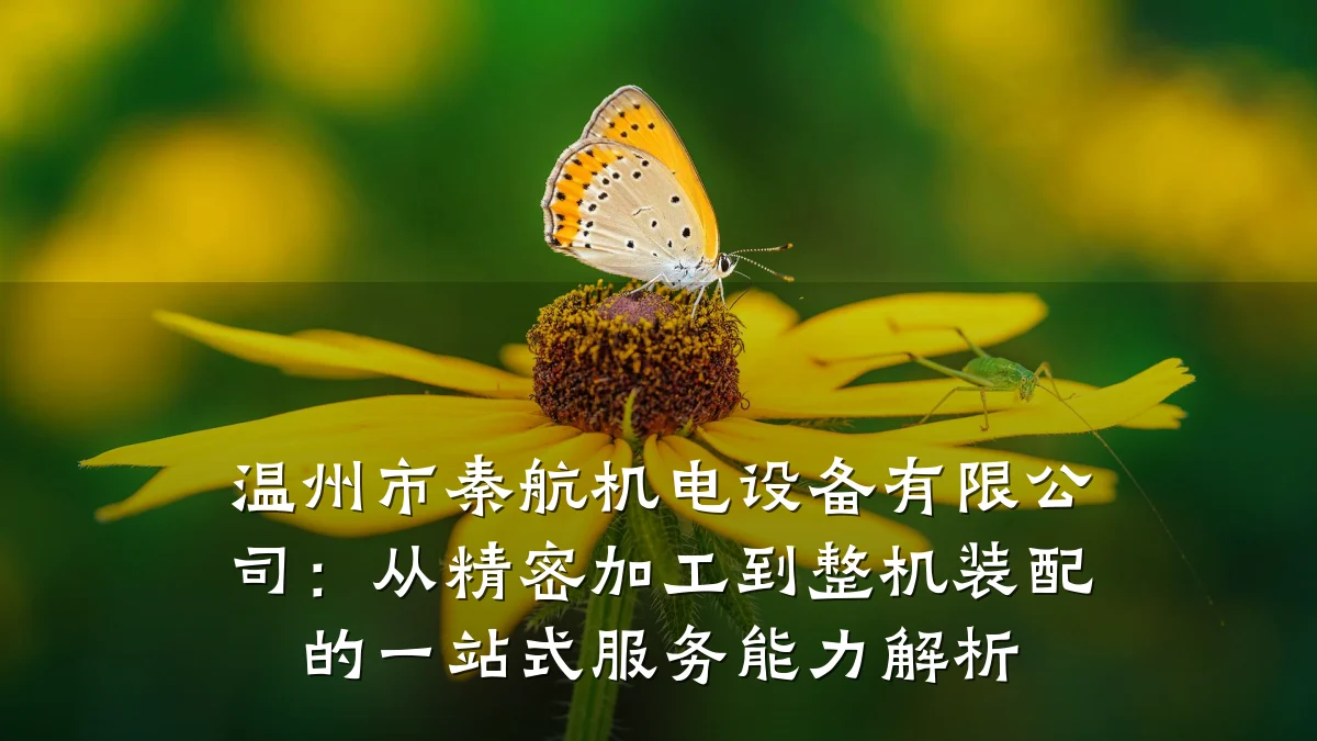 温州市秦航机电设备有限公司:从精密加工到整机装配的一站式服务能力解析