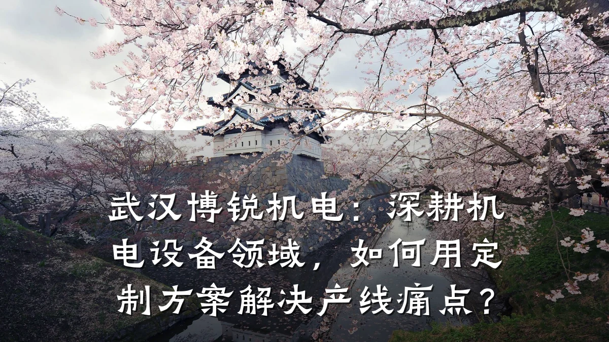 武汉博锐机电：深耕机电设备领域，如何用定制方案解决产线痛点？
