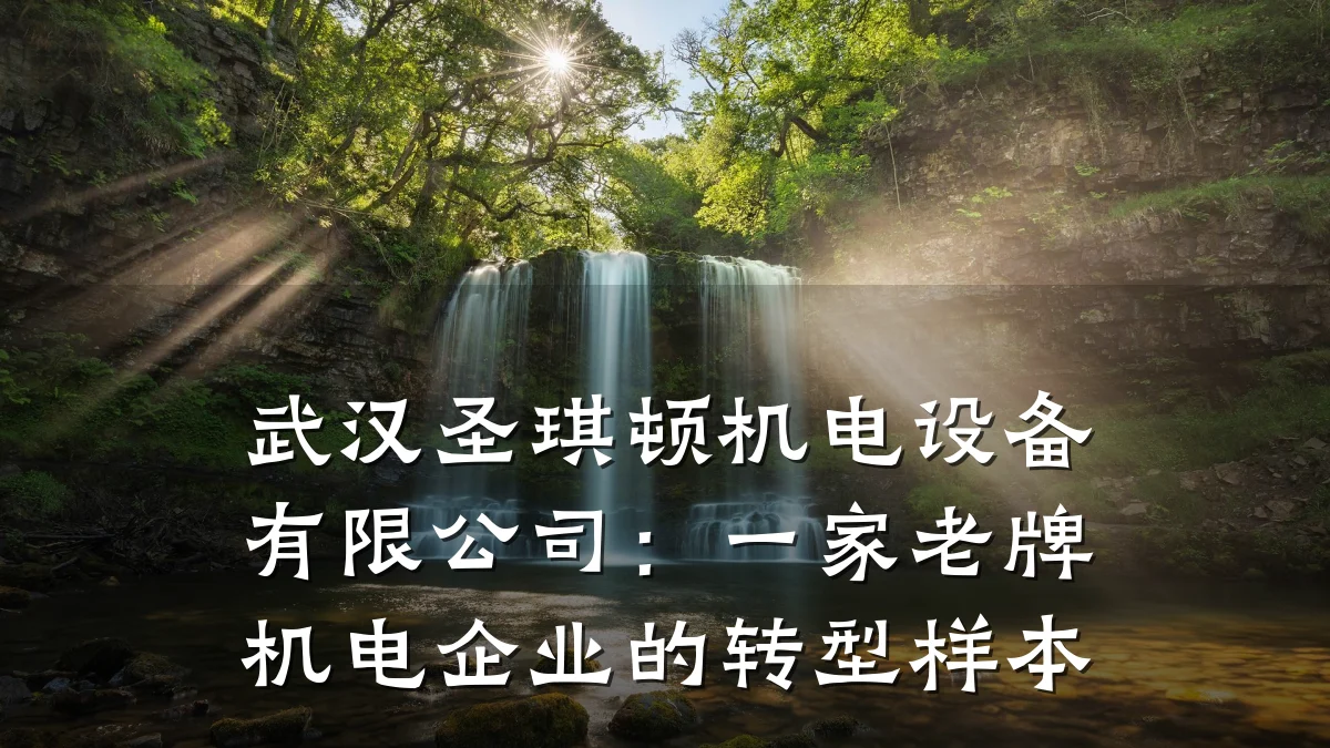 武汉圣琪顿机电设备有限公司:一家老牌机电企业的转型样本