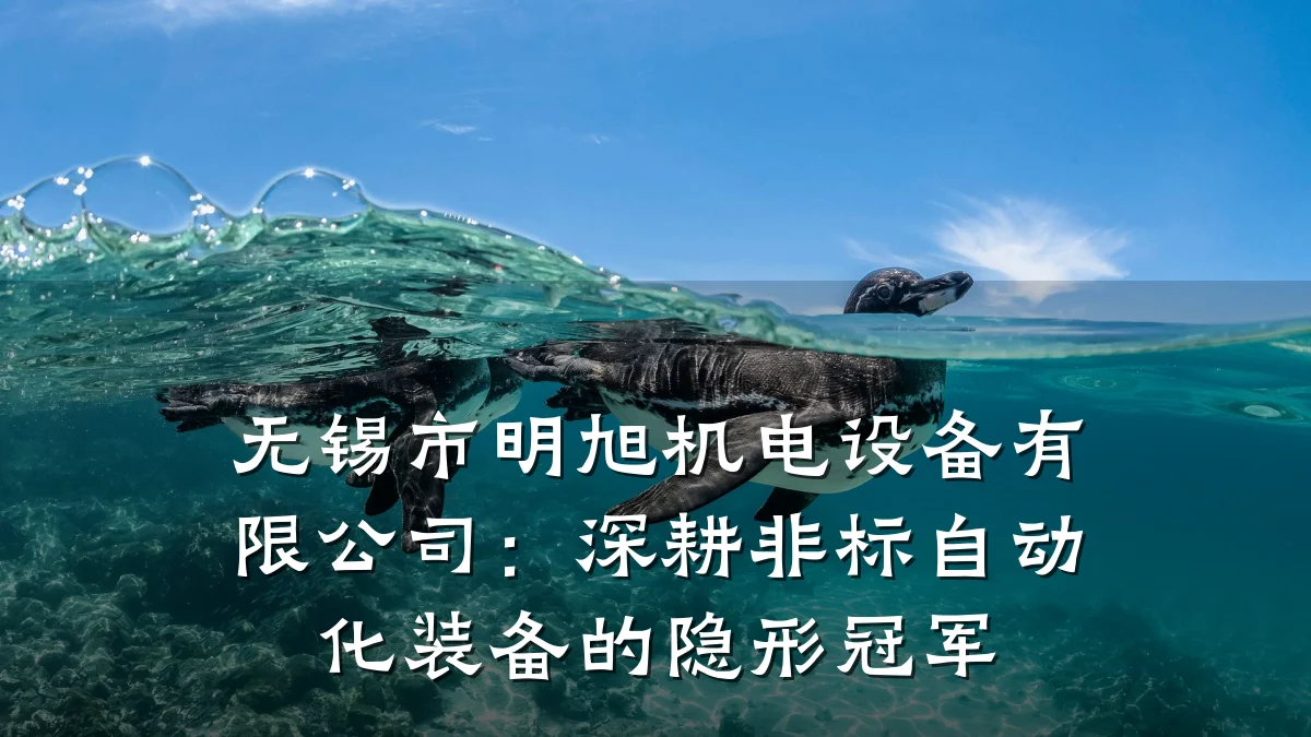 无锡市明旭机电设备有限公司：深耕非标自动化装备的隐形冠军