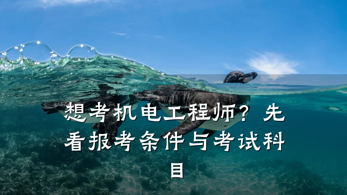 想考机电工程师？先看报考条件与考试科目