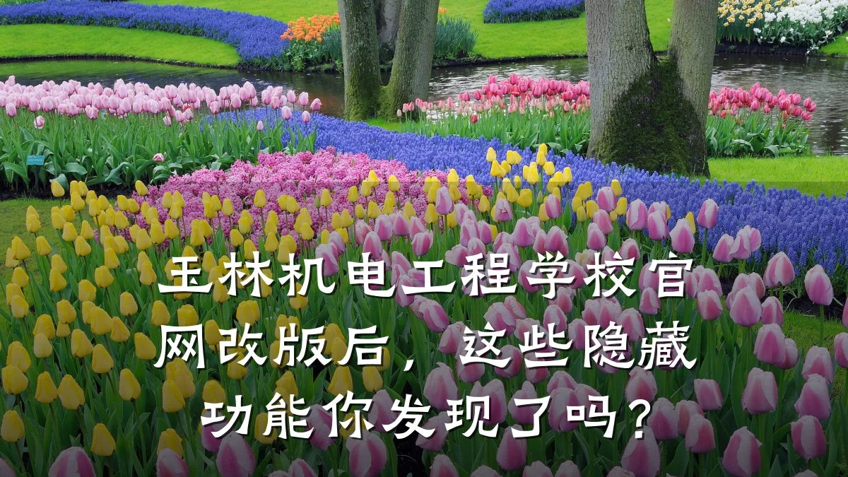 玉林机电工程学校官网改版后，这些隐藏功能你发现了吗？