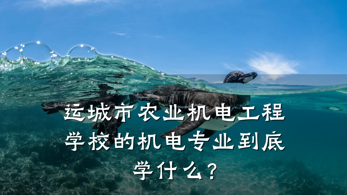 运城市农业机电工程学校的机电专业到底学什么？