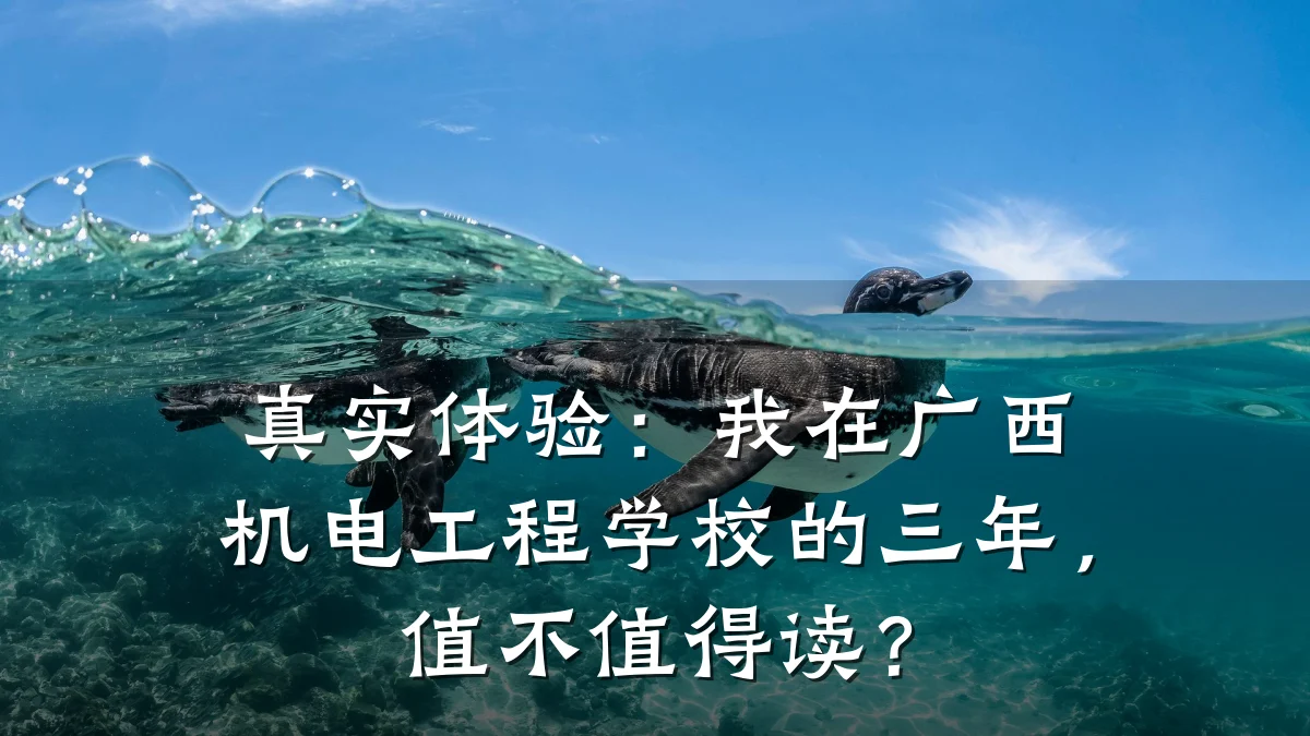 真实体验：我在广西机电工程学校的三年，值不值得读？
