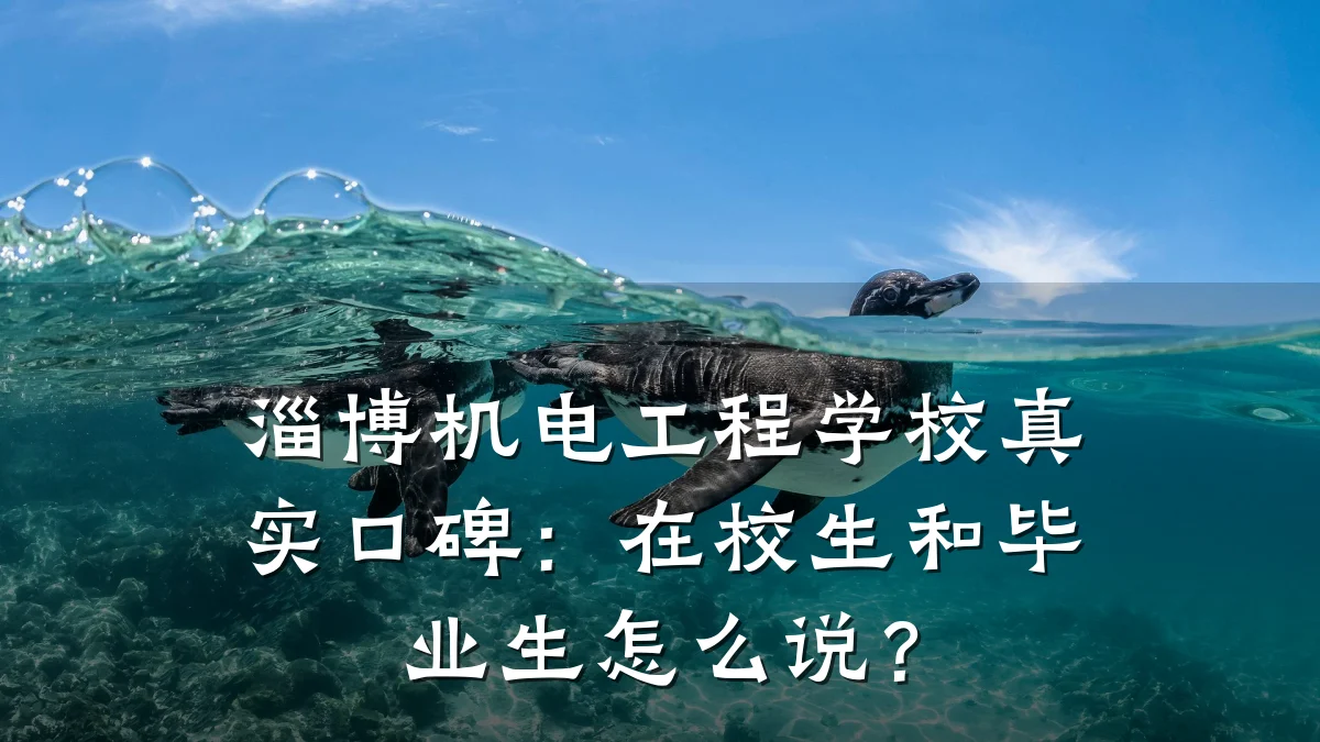 淄博机电工程学校真实口碑：在校生和毕业生怎么说？
